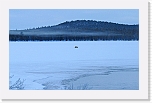 Lonely reindeer_1684 * 2666 x 1683 * (2.54MB)